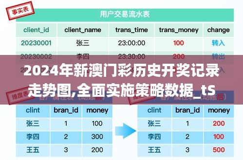 2024年新澳门彩历史开奖记录走势图,全面实施策略数据_tShop9.867
