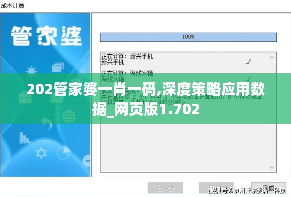 202管家婆一肖一码,深度策略应用数据_网页版1.702