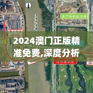 2024澳门正版精准免费,深度分析解析说明_优选版10.241