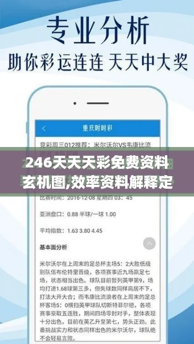 246天天天彩免费资料玄机图,效率资料解释定义_watchOS6.183