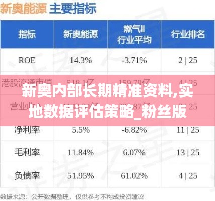 新奥内部长期精准资料,实地数据评估策略_粉丝版2.566