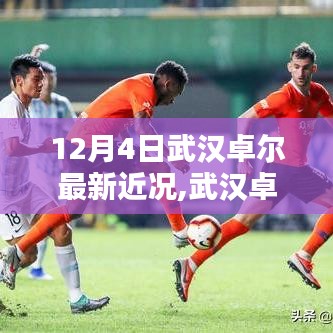 聚焦武汉卓尔足球队最新动态，12月4日最新近况报道及分析