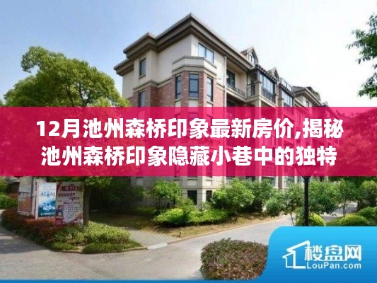 揭秘池州森桥印象，独特房价与神秘小店的隐藏魅力（最新房价信息）