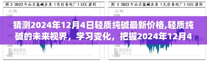轻质纯碱未来视界，预测与把握2024年12月4日的价格机遇，洞悉市场变化学习笔记
