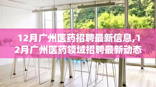 12月广州医药招聘最新动态及信息概览
