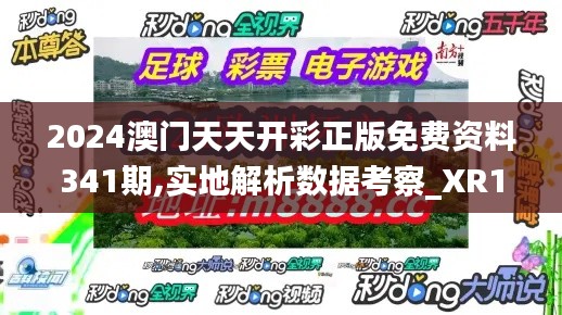 2024澳门天天开彩正版免费资料341期,实地解析数据考察_XR12.908