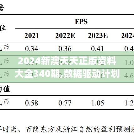 2024新澳天天正版资料大全340期,数据驱动计划设计_macOS4.417
