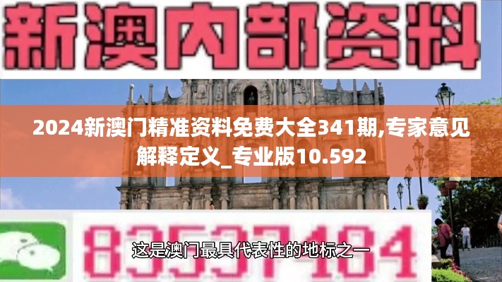 2024新澳门精准资料免费大全341期,专家意见解释定义_专业版10.592