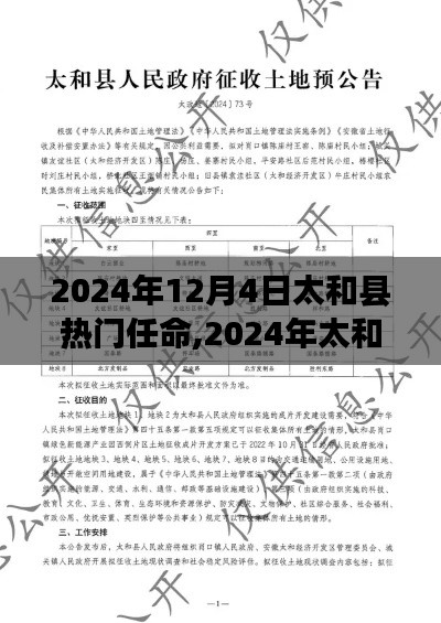 太和县热门任命聚焦，解析新任领导团队与某某观点展望未来