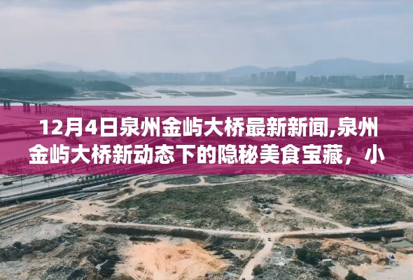 泉州金屿大桥新动态揭秘，隐秘美食宝藏与小巷独特风味探寻记