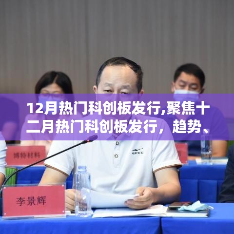 十二月热门科创板发行趋势、机遇与挑战解析