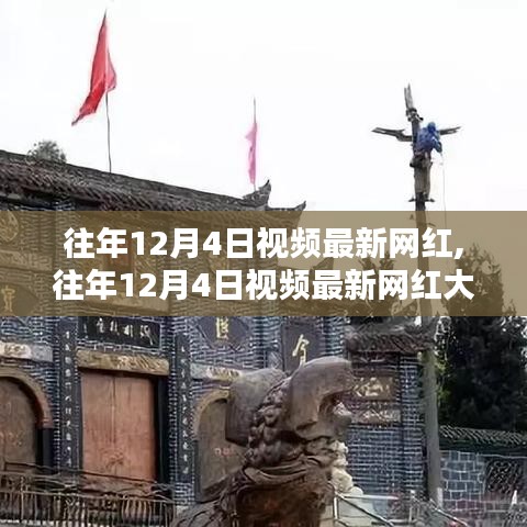 揭秘往年12月4日新晋网红，网红之路的崛起与启示大揭秘