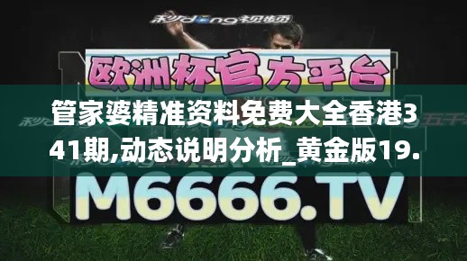 管家婆精准资料免费大全香港341期,动态说明分析_黄金版19.964