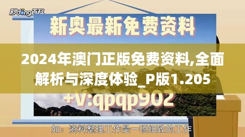 2024年澳门正版免费资料,全面解析与深度体验_P版1.205