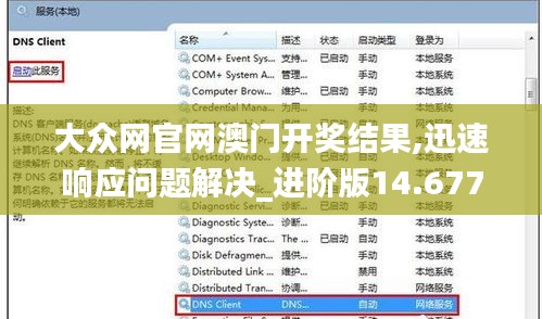 大众网官网澳门开奖结果,迅速响应问题解决_进阶版14.677