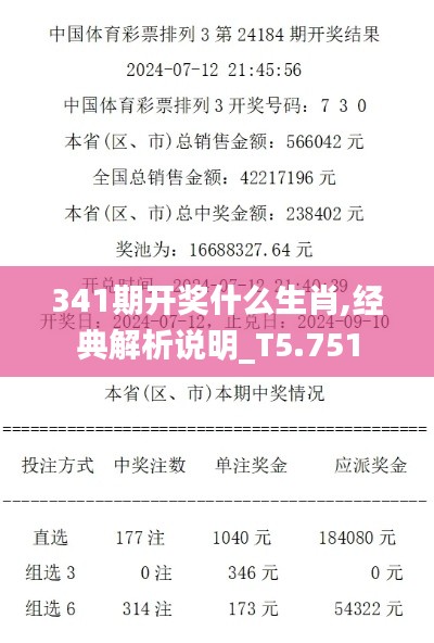 341期开奖什么生肖,经典解析说明_T5.751