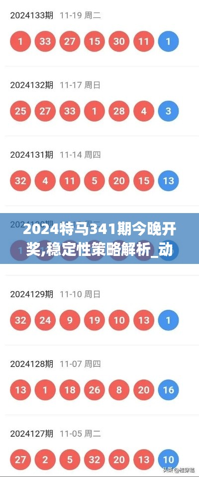 2024特马341期今晚开奖,稳定性策略解析_动态版6.854