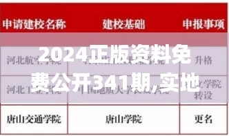 2024正版资料免费公开341期,实地考察数据解析_L版4.590