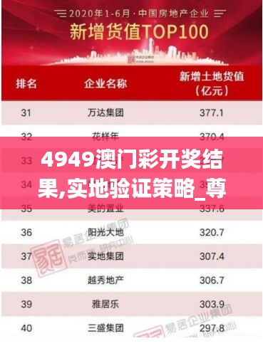 4949澳门彩开奖结果,实地验证策略_尊享款7.425