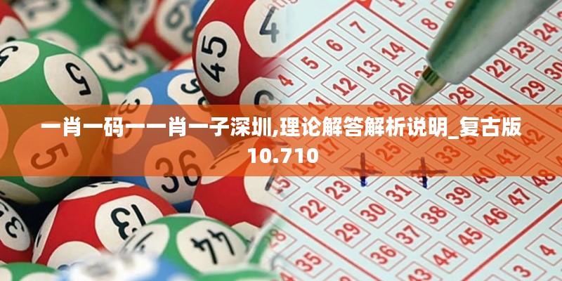 一肖一码一一肖一子深圳,理论解答解析说明_复古版10.710