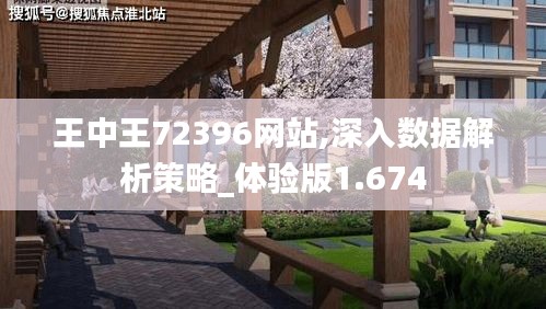 王中王72396网站,深入数据解析策略_体验版1.674