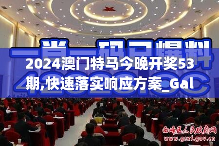 2024澳门特马今晚开奖53期,快速落实响应方案_Galaxy2.209