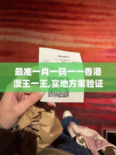 最准一肖一码一一香港澳王一王,实地方案验证_Chromebook10.433
