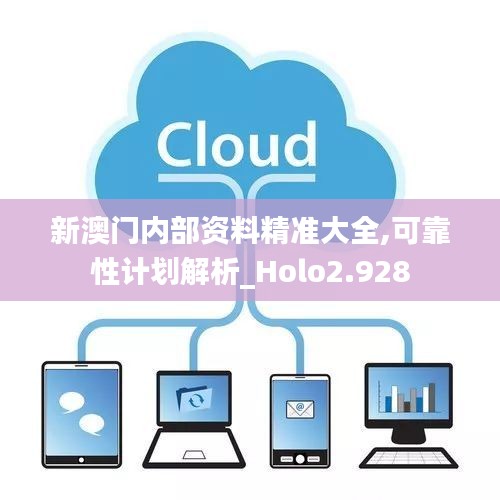 新澳门内部资料精准大全,可靠性计划解析_Holo2.928