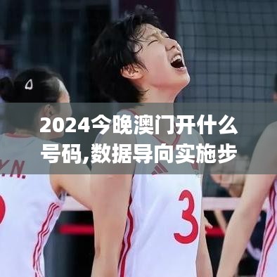 2024今晚澳门开什么号码,数据导向实施步骤_6DM14.447