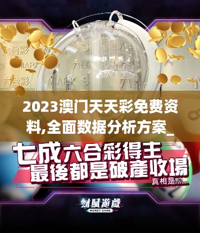 2023澳门天天彩免费资料,全面数据分析方案_X4.209