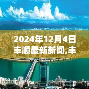 丰顺最新新闻动态，深度解析2024年12月4日新闻事件及用户群体分析