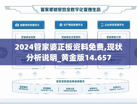 2024管家婆正板资料免费,现状分析说明_黄金版14.657