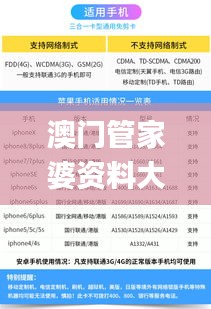 澳门管家婆资料大全正,迅速执行计划设计_Lite10.500
