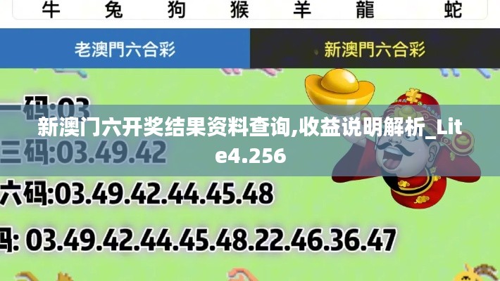 新澳门六开奖结果资料查询,收益说明解析_Lite4.256