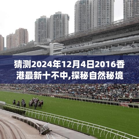 探秘自然秘境，香港未来美景新发现的心灵之旅启程，预测香港未来美景展望（香港最新十不中猜想）