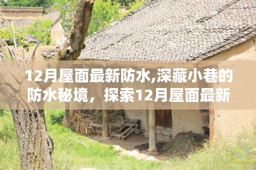探索深藏小巷的防水秘境，揭秘十二月最新屋面防水特色小店