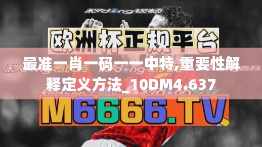 最准一肖一码一一中特,重要性解释定义方法_10DM4.637