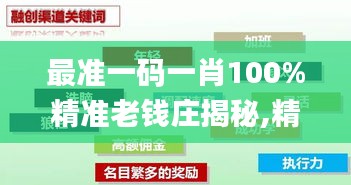 最准一码一肖100%精准老钱庄揭秘,精细设计方案_RemixOS2.679