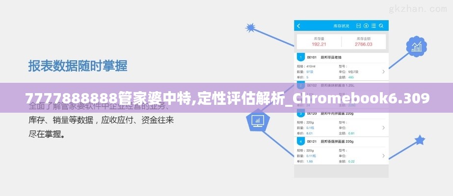 7777888888管家婆中特,定性评估解析_Chromebook6.309