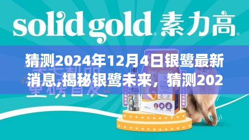 揭秘银鹭未来动向，预测银鹭最新动态展望至2024年12月4日，洞悉未来发展蓝图！