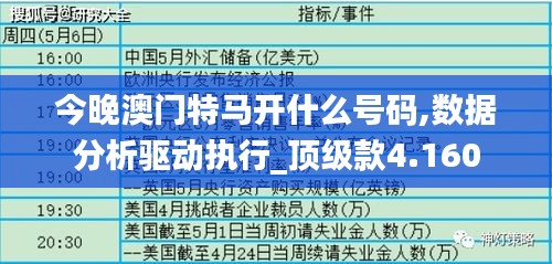今晚澳门特马开什么号码,数据分析驱动执行_顶级款4.160