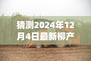 揭秘未来科技，柳产甘蔗收割机的发展与趋势展望（2024年最新预测）