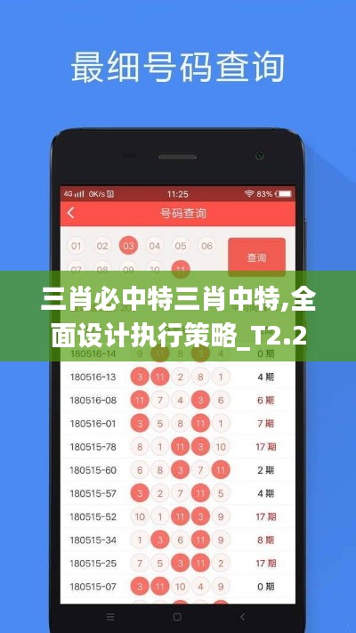 三肖必中特三肖中特,全面设计执行策略_T2.201