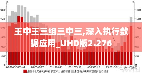 王中王三组三中三,深入执行数据应用_UHD版2.276