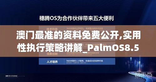 澳门最准的资料免费公开,实用性执行策略讲解_PalmOS8.502