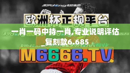 一肖一码中持一肖,专业说明评估_复刻款6.685