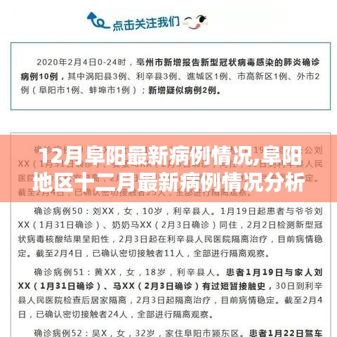报告