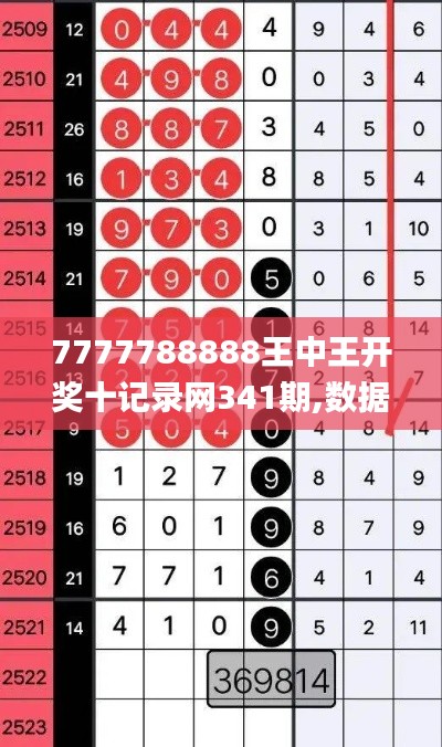 7777788888王中王开奖十记录网341期,数据解析设计导向_VR9.826
