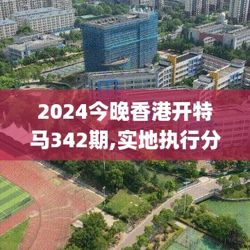 2024今晚香港开特马342期,实地执行分析数据_苹果版3.311