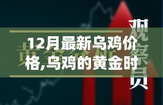 把握乌鸡黄金时代机遇，十二月最新乌鸡价格与自信闪耀的学习变化之路